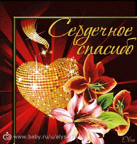 Отчетность