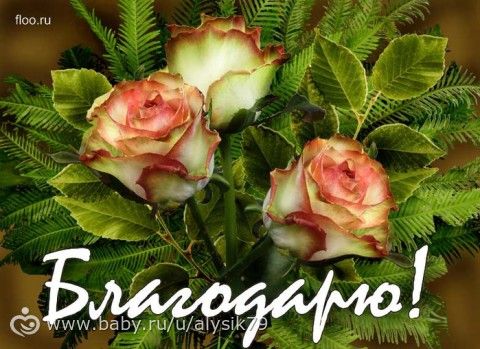 Отчетность