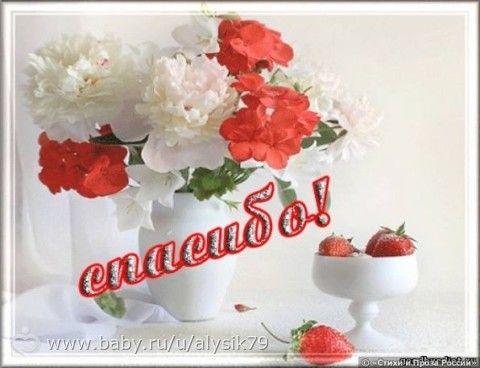 Отчетность