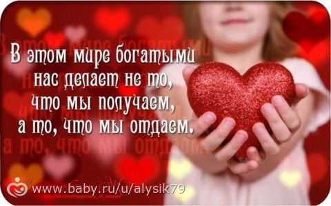 Отчетность