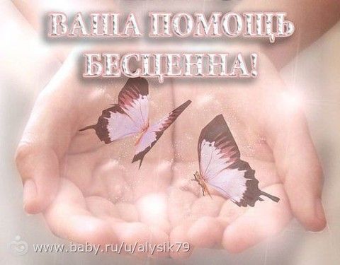 Отчетность