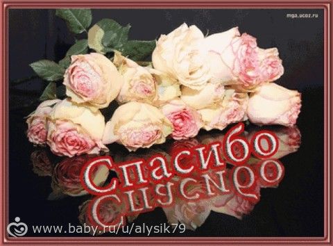 Отчетность