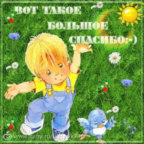 Отчетность