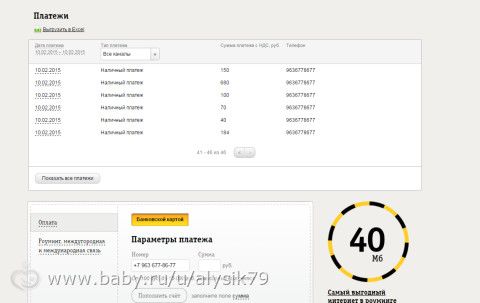 Отчетность