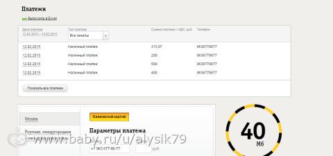 Отчетность