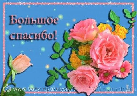 Отчетность