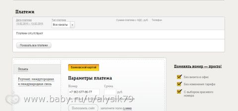 Отчетность