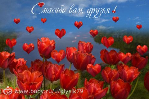 Отчетность