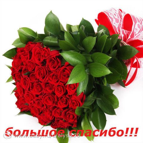 Отчетность