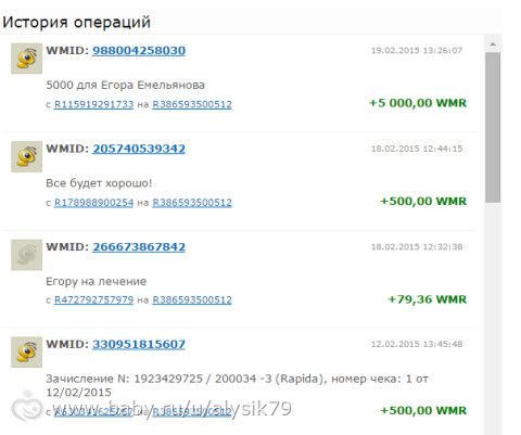 Отчетность