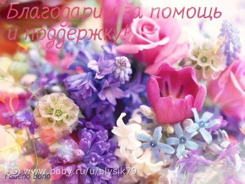Отчетность