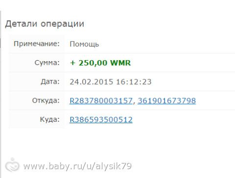 Отчетность