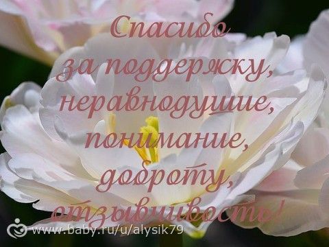 Отчетность