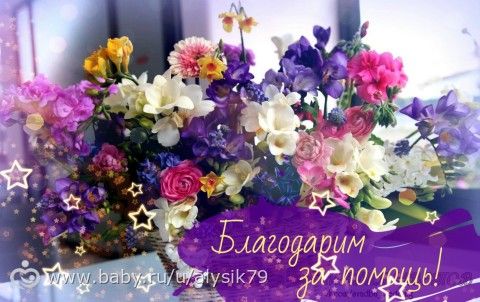 Отчетность