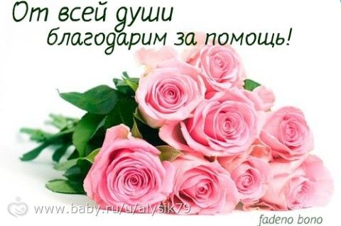 Отчетность