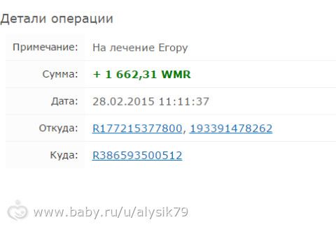 Отчетность