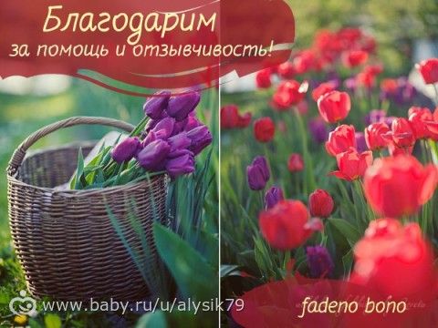 Отчетность