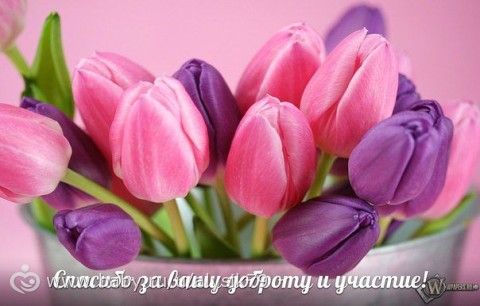 Отчетность