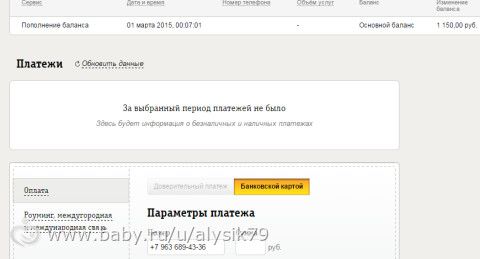 Отчетность