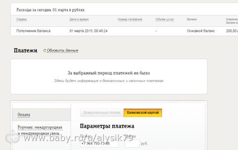 Отчетность
