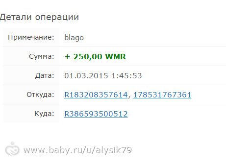 Отчетность
