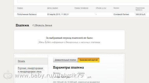Отчетность