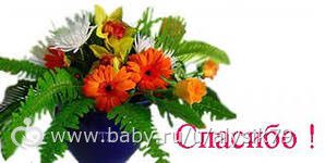 Отчетность
