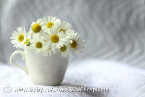 Оценки под фото Поэтапный фотоконкурс этап &quot; белое на белом&quot; голосование 1группа