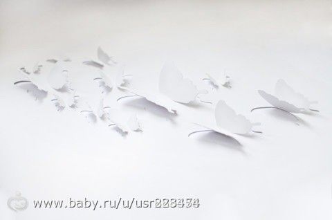 Фотоконкурс первый этап 2 группа