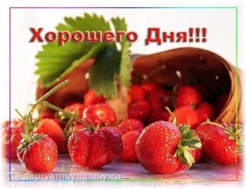 Зимний коллективный Взлёт ФлайЛеди Шаг 1/31