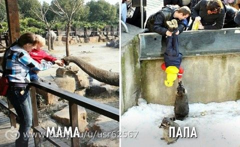 Блюда из мяса свинины с пошаговым 8 Блюда из мяса свинины с пошаговым 80