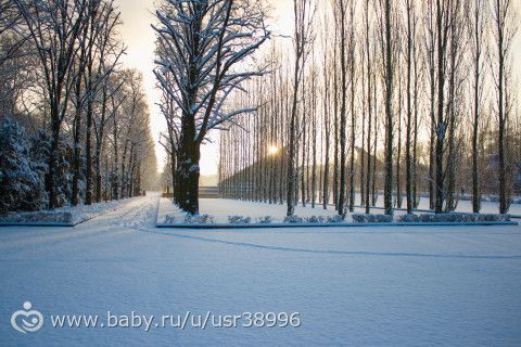 Наш новогодний автотур! часть 2. Германия-Берлин
