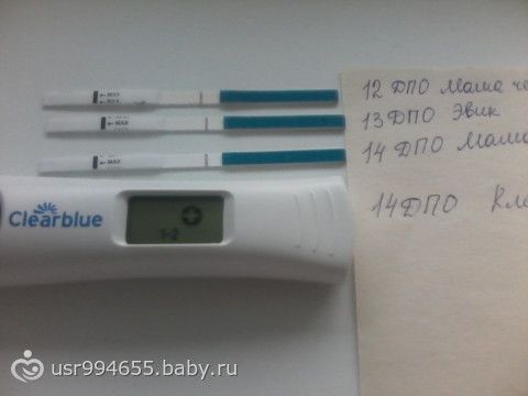 Незнаю что и думать...