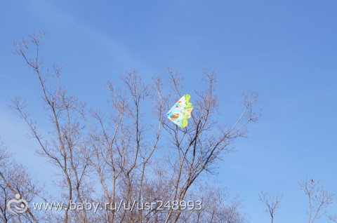 погуляли и ловили ветерок(фото)