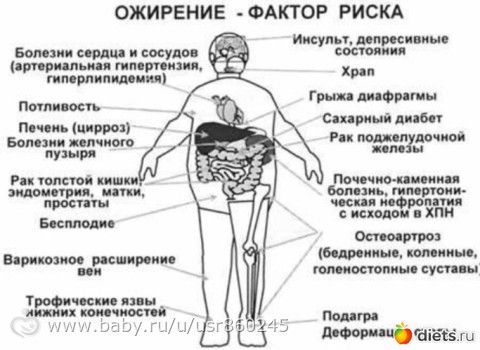 Статья 2. Калоризатор.