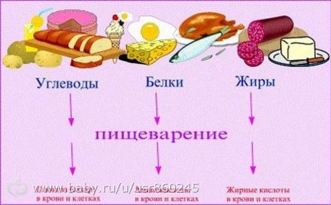 Статья 11. Про БЖУ.