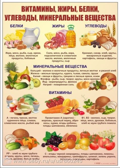 Статья 11. Про БЖУ.