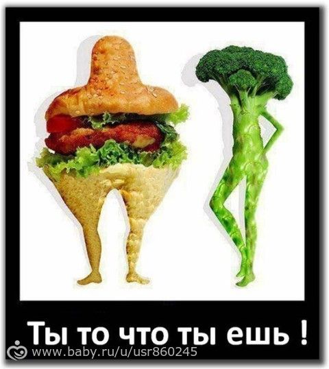 Статья 12. Обед.