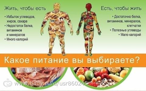 Статья 18. Человек ест, чтобы жить, а не живёт, чтобы есть.