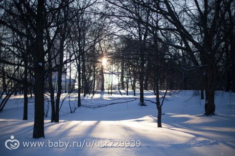 26 декабря, парк Коломенское, Москва
