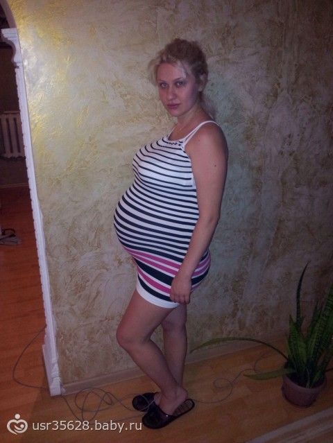 Беременность 12 Недель Двойня Фото