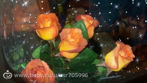 О сегодняшней романтике (ворчливые тёти могут не читать))))