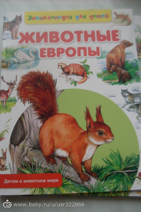 Книжки - энциклопедии