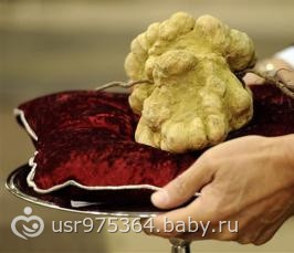 А вы знаете что такое "трюфель" на самом деле???