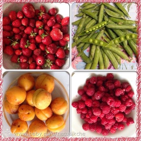 Первые дни на Кубани