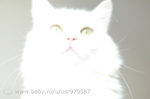 Руки опускаются..... но она же найдется.....