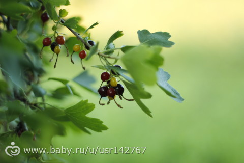 Мои детские платишки на дочке. и много фоток
