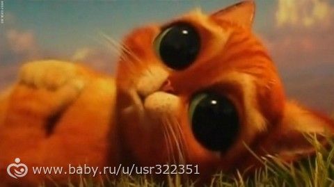 и похвалюсь и наябедничаю
