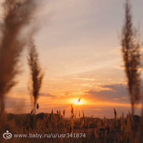 Пейзаж в квадрате)