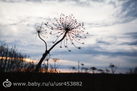 Калязин